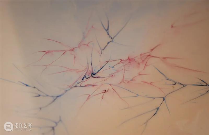 展览回顾 | 回响 ECHO 视频资讯 张嘉宁 ECHO 策展人 Curator 陆佳 Jia 艺术家 Artists 何艺雯 严许雨 张嘉宁 崇真艺客